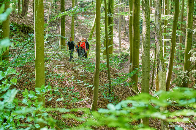 Schlangenweg