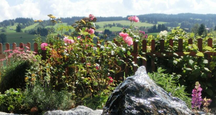 Eine Quelle der Natur