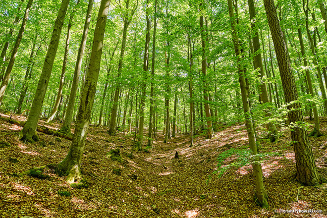 Schlangenweg