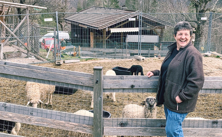 Renate Aschauer und ihre Alpinen Steinschafe