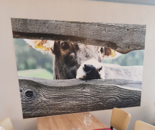 Röstihaus Glusthaferl Zaungäste