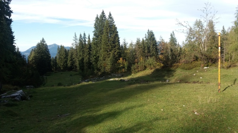 Große &quot;Skitouren-&quot; Lichtung, Blickrichtung Nord (vom Parkplatz kommend).