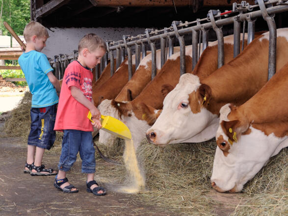 bei der &quot;Stallarbeit&quot;