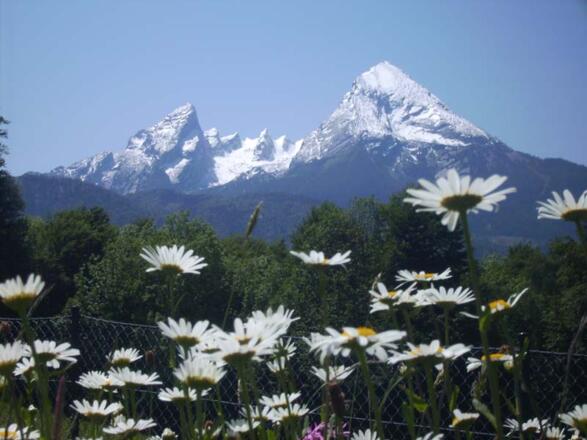 Blick, wenn Sie im Garten liegen