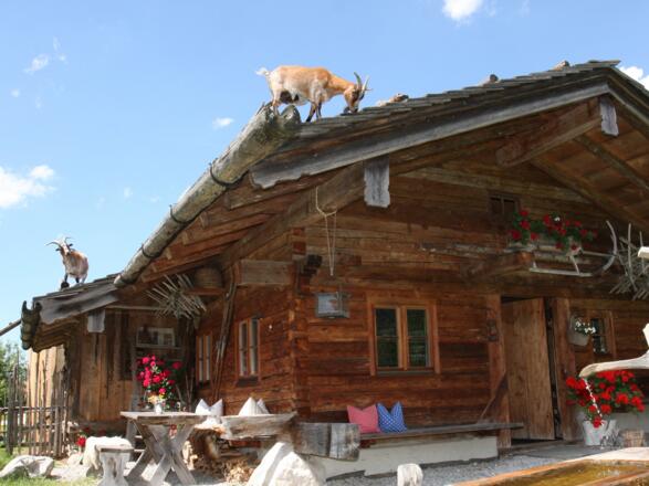 Unsere &quot;Alm&quot;