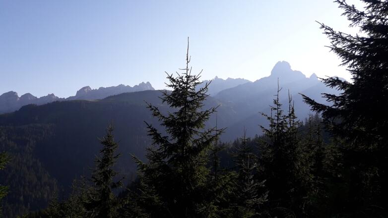 Blick auf den Gosaukamm und die Bischofsmütze