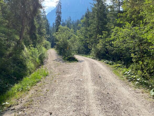 Entlang des Donnerbachs im Lanzental