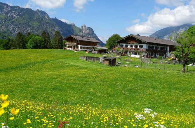 unser Bauernhof mit Blumenwiese und Blick auf die Schlafende Hexe
