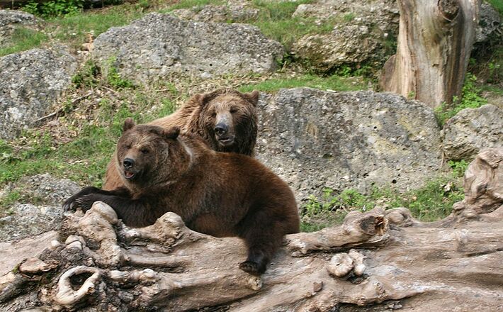 Zoo Salzburg