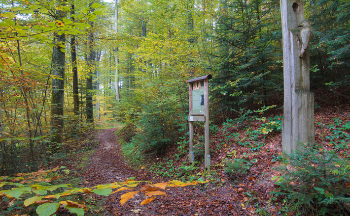 Waldlehrpfad & Skulpturenweg Teisendorf © RoHa Fotothek