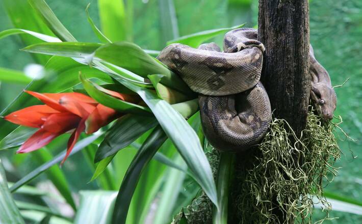 Zoo Salzburg
