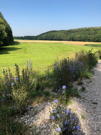 Schleifenroute - Weßling Hochstadt Landschaft
