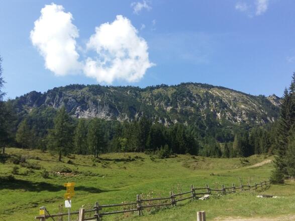 Bodenwies - Blick von Alm