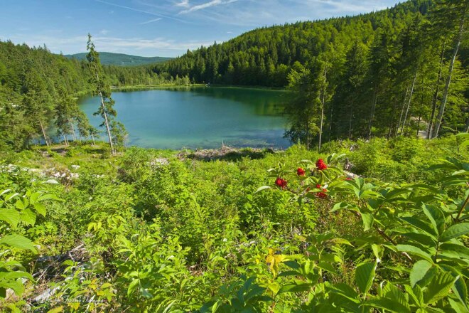 Roha Fotothek Fürmann - Frillensee