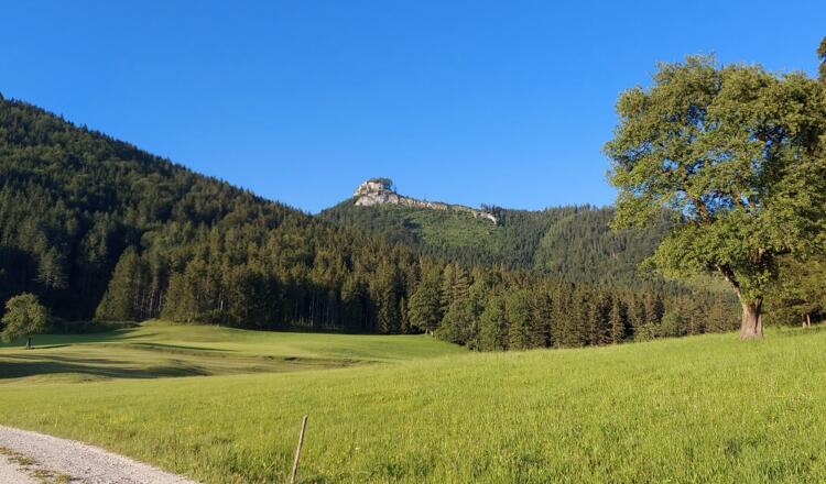 Lindaumauer - Blick von Platten