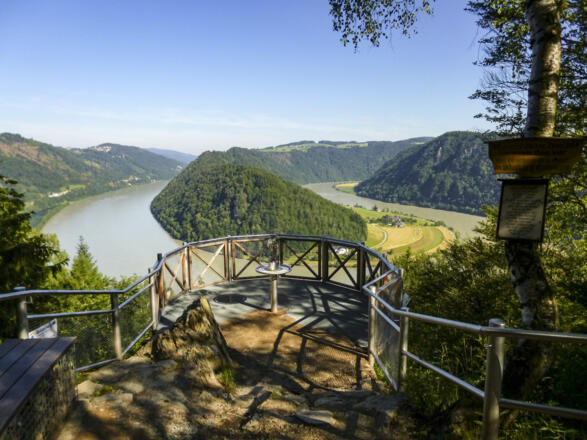 Schlögener Blick auf die Donauschlinge. Z05