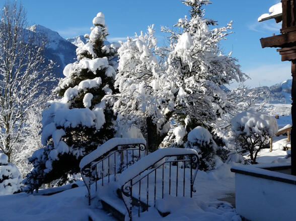 Unser Garten im Winter