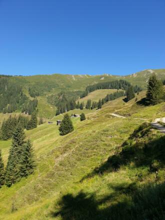 Katzsteinalm