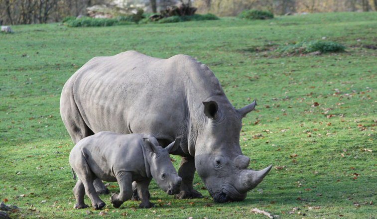 Zoo Salzburg