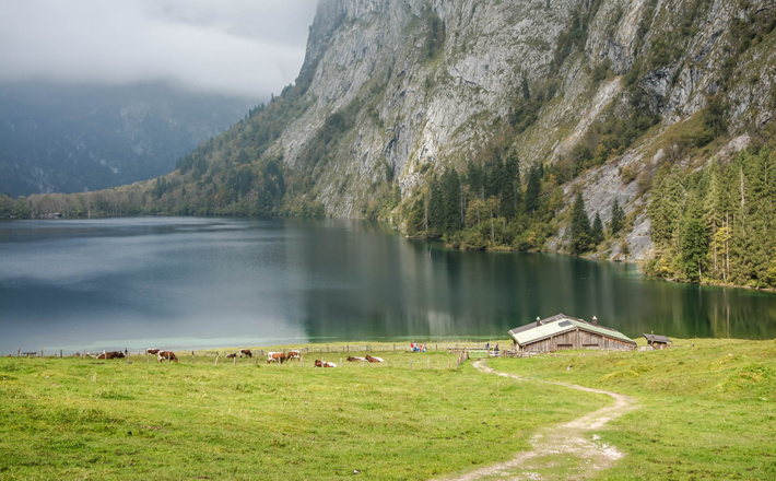 Das Südufer des Obersees mit der Fischunkelalm