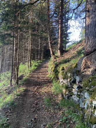 Wanderweg oberhalb von Manuaf