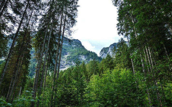 Blick vom Schwarzbach hinauf zur Reiter Alm