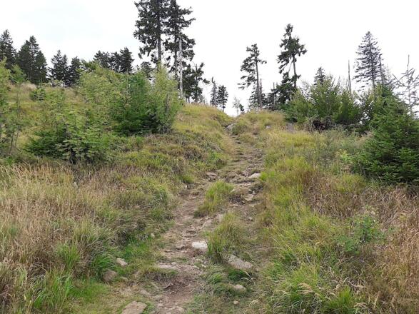 Steig zum Heugstatt-Gipfel