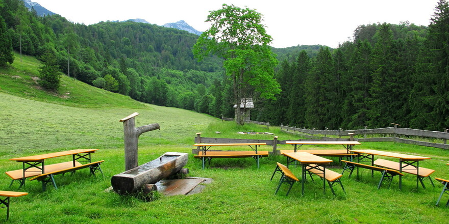 Auf der Höllenbachalm