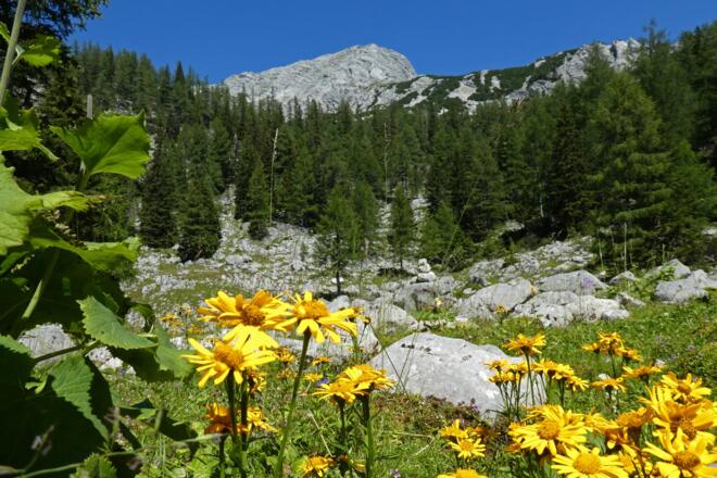 Die Angelmauer von der Mandlalm aus gesehen