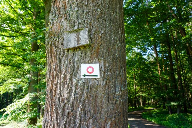 Wir folgen diesem Zeichen.