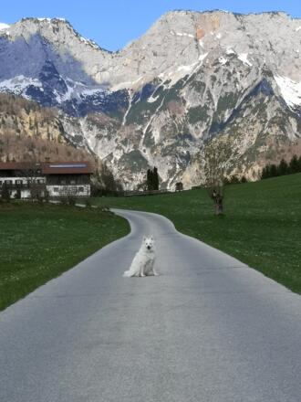 Zahlreiche Sagen und Mythen umgeben die Höhlen im Untersberg