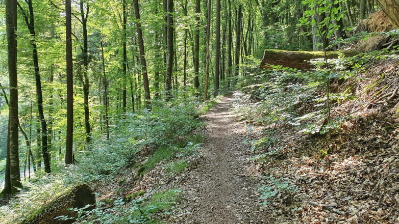 Unterwegs auf dem Riedenburger Rundwanderweg Nr. 14