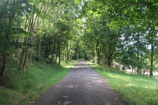 Rundweg Weinberg Kulm