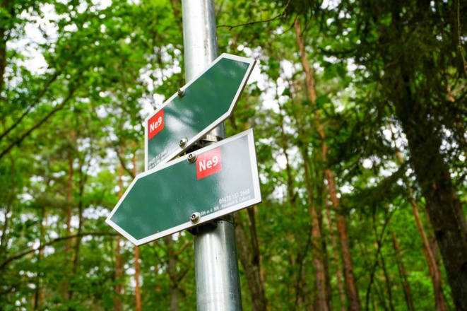 Wegmarkierung NE9