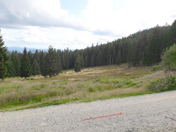Hüttlschachten - hier gehen auf der Forstraße weiter