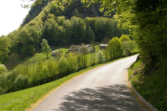 Leistungsvariante Steinerweg