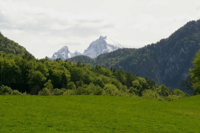 Leistungsvariante Steinerweg