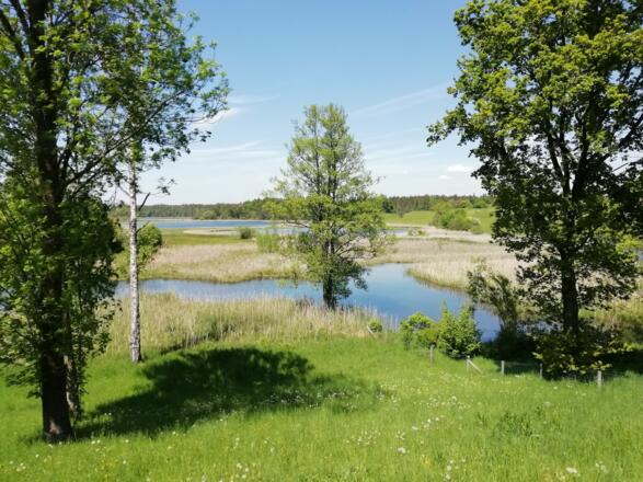 Der Blick auf das Ufer der Osterseen
