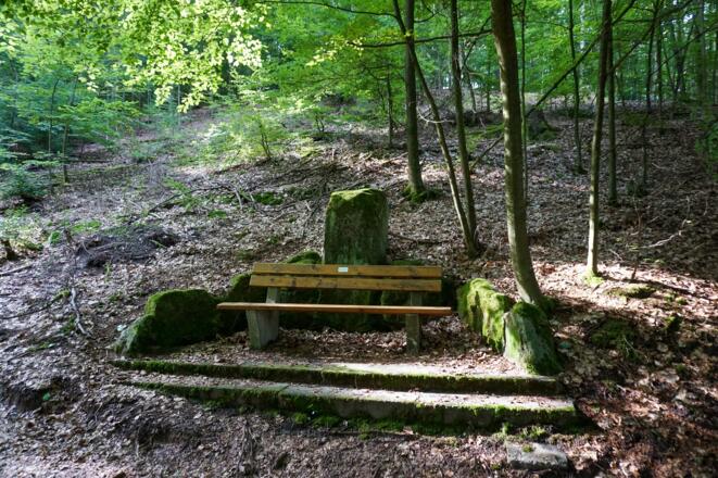 Rastmöglichkeit auf dem Wanderweg am Muppberg
