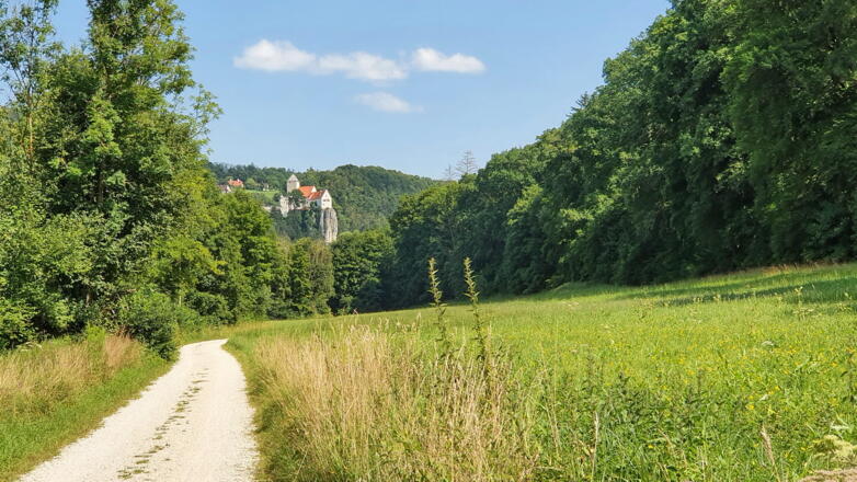 Blick auf Burg Prunn vom Wanderweg entlang des Main-Donau-Kanals