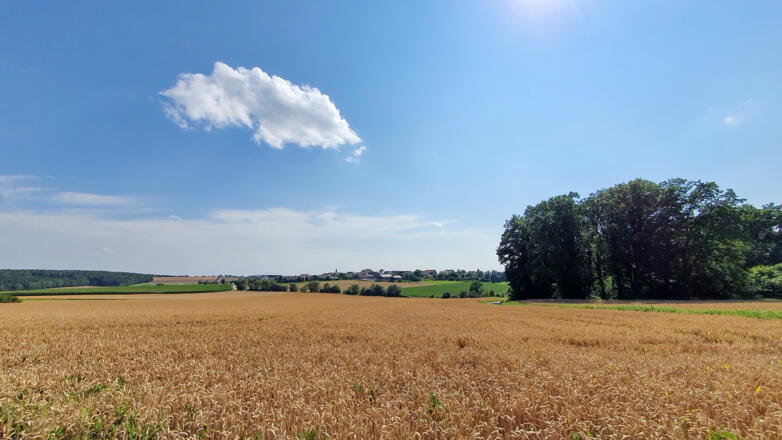 Ein weiter Blick bei Riedenburg im Altmühltal