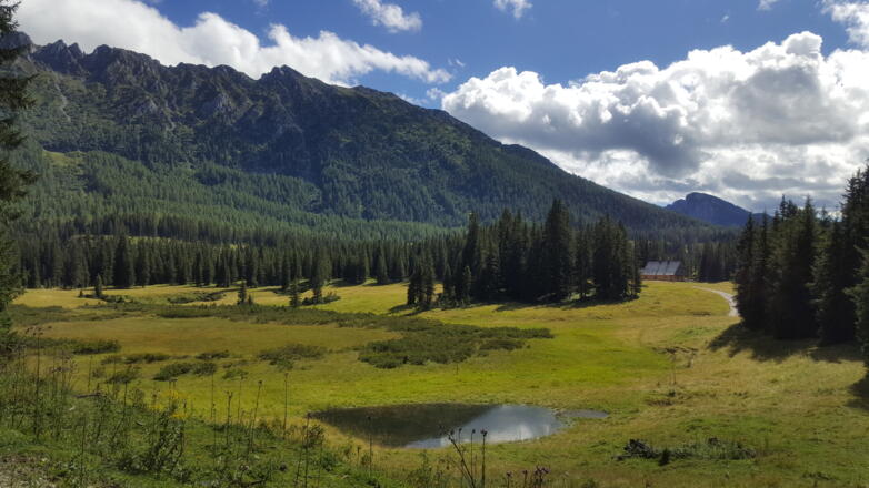 Idyllische Landschaft mit der Kammspitze im Hintergrund