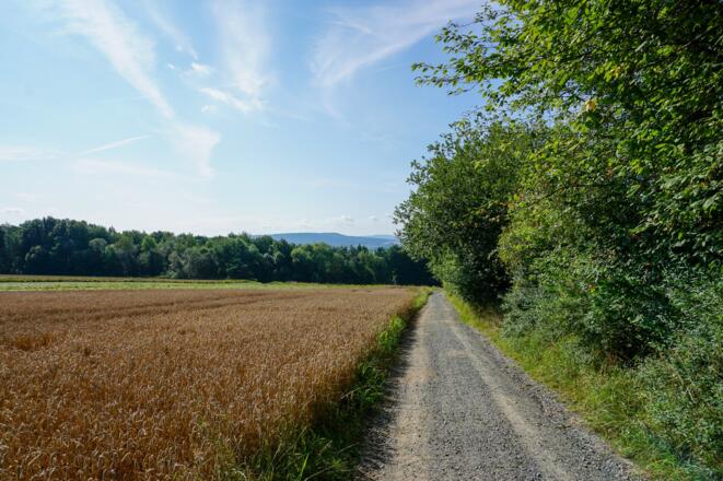 Kurz nach dem Verlassen von Schneckenlohe