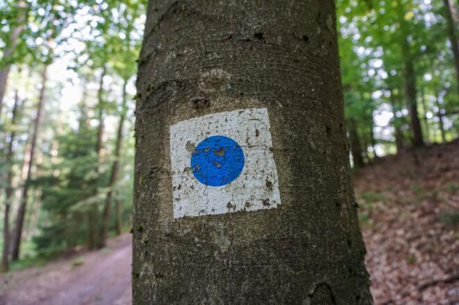 Wegmarkierung am Muppberg-Rundweg