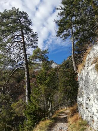 Weg zur Toni-Lenz-Hütte