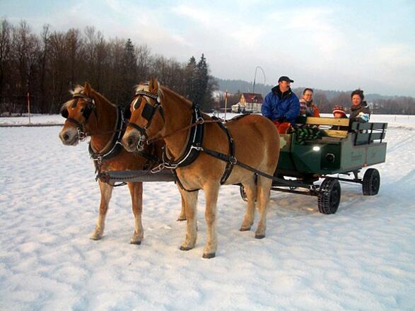 Winterliche Kutschfahrt