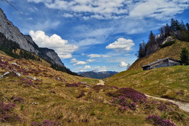 Blick von der Halsalm zum Untersberg