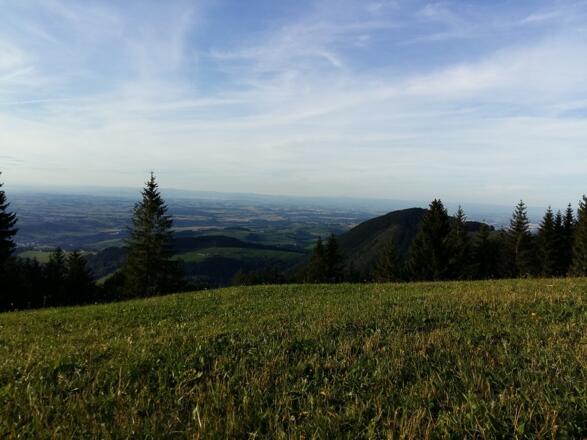 Kruckenbrettl - Ausblick