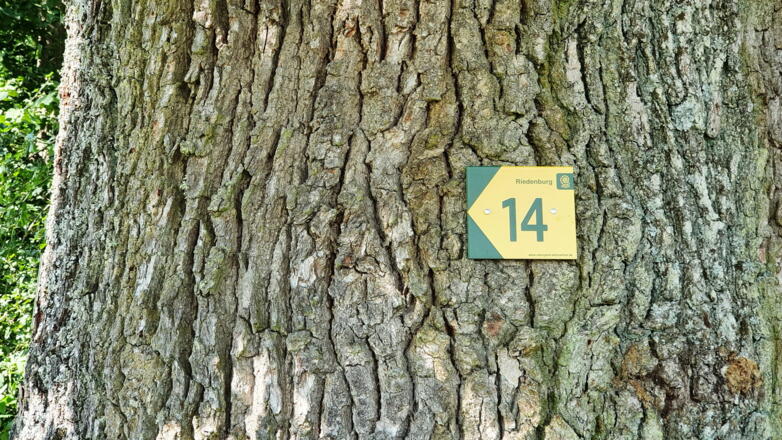 Riedenburger Rundwanderweg Nr. 14