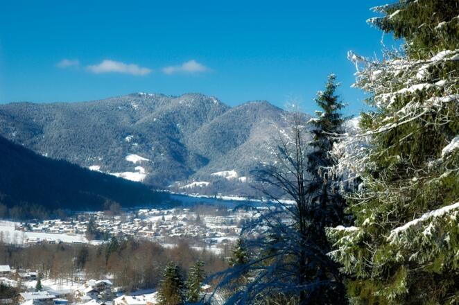 Ausblick